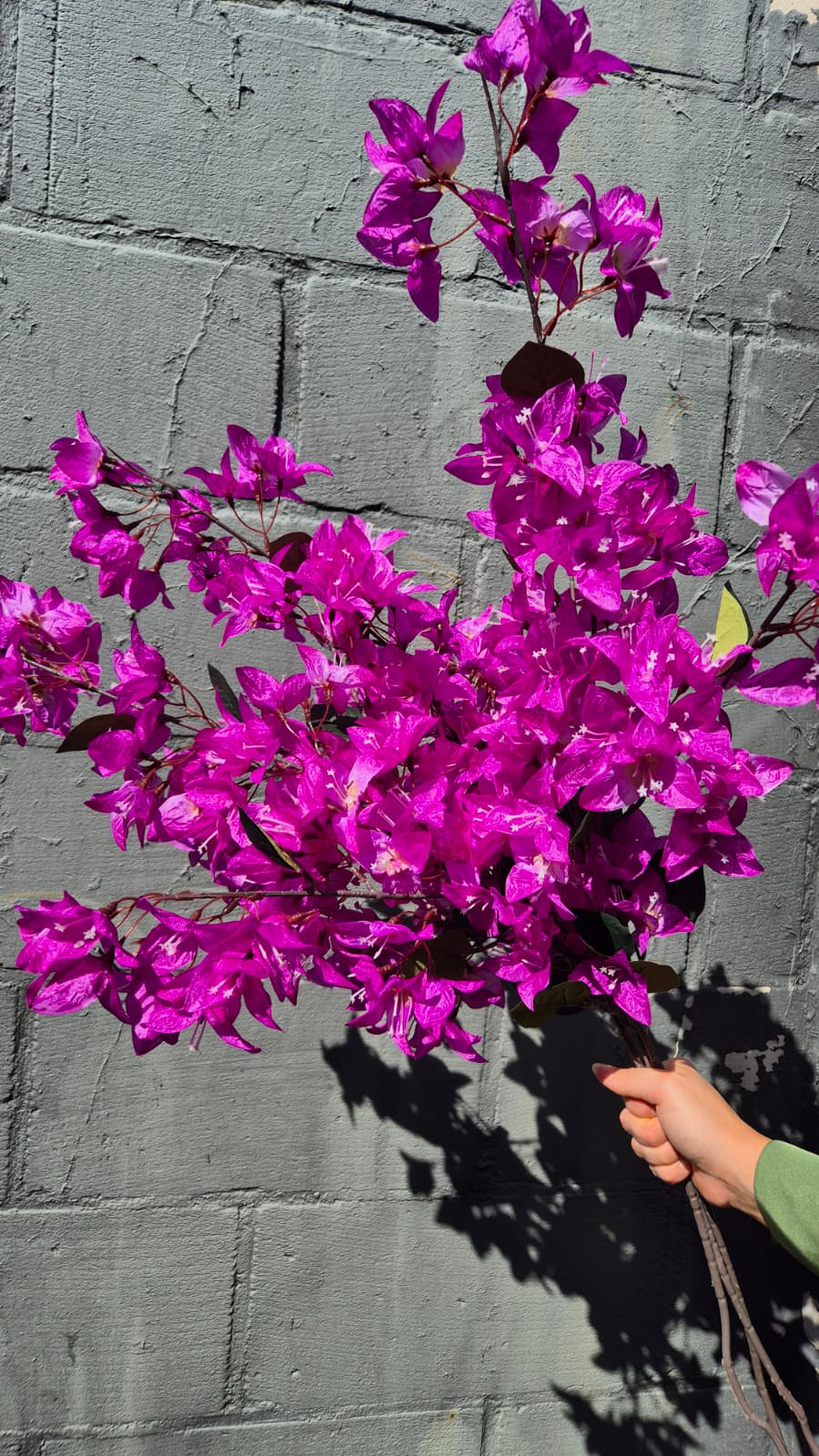 Bougainville paars