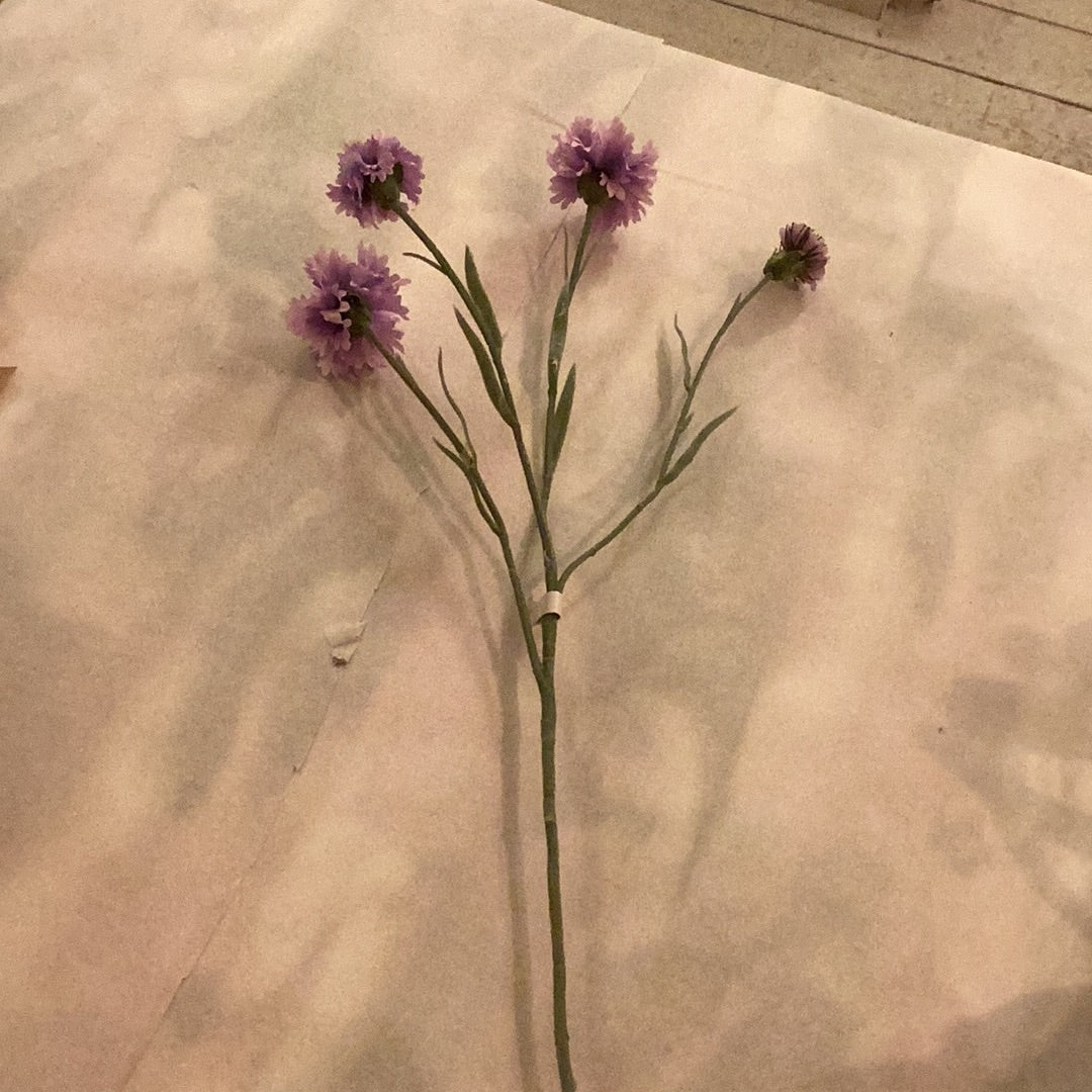 Korenbloem lila paars