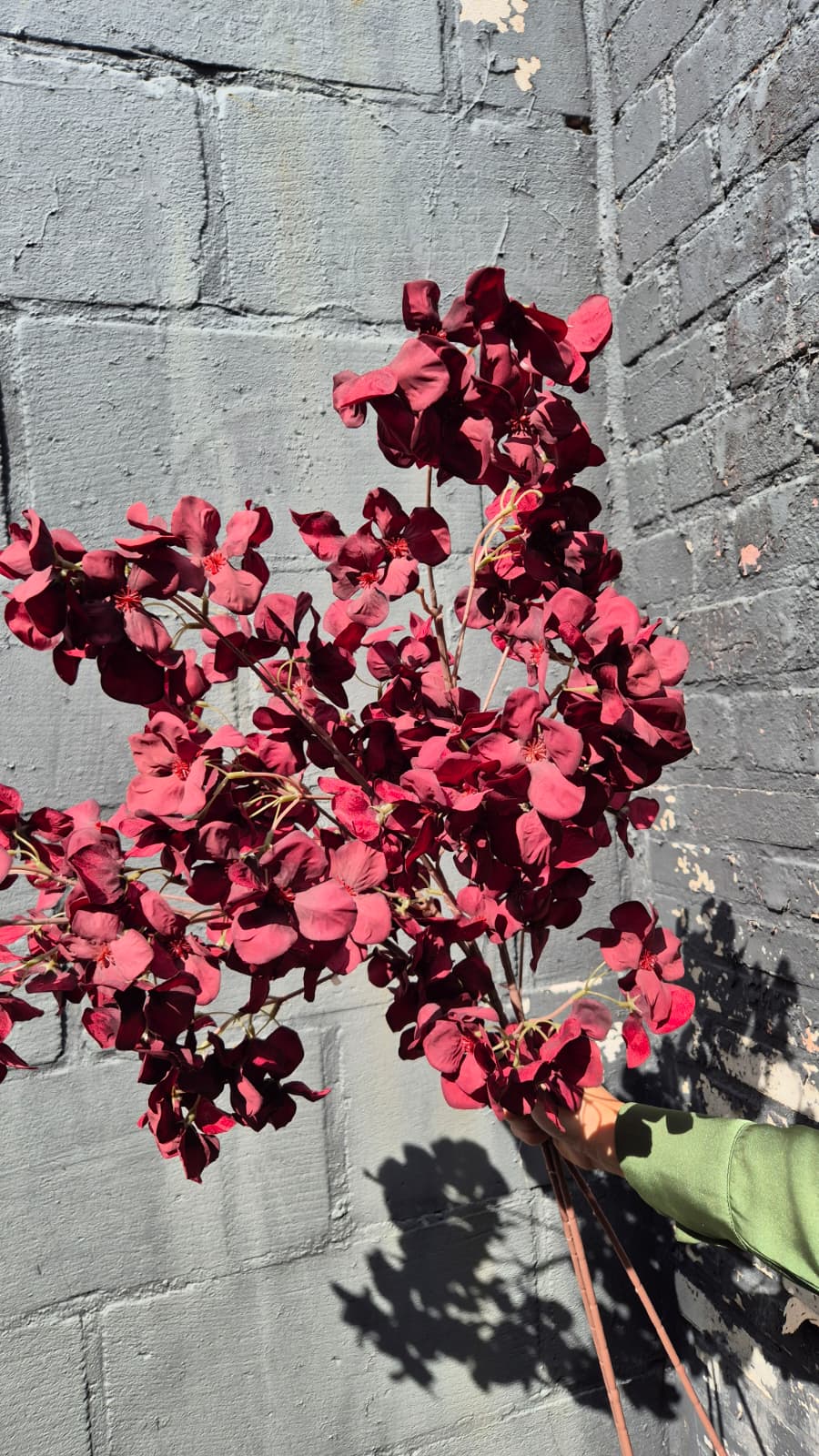 Herfstbloesem donker rood