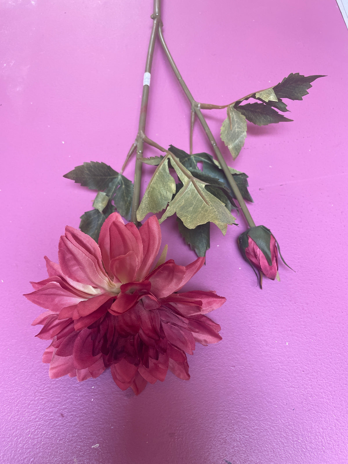 Dahlia kort roze rood