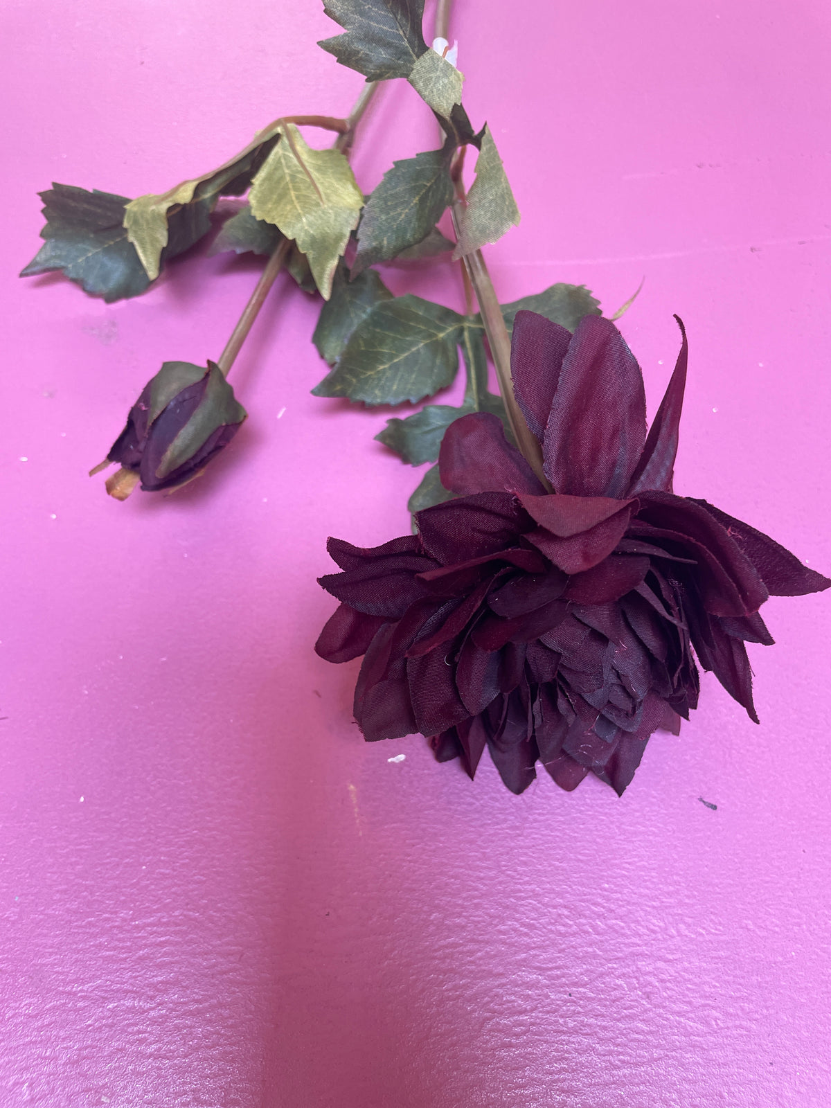 Dahlia kort donker rood
