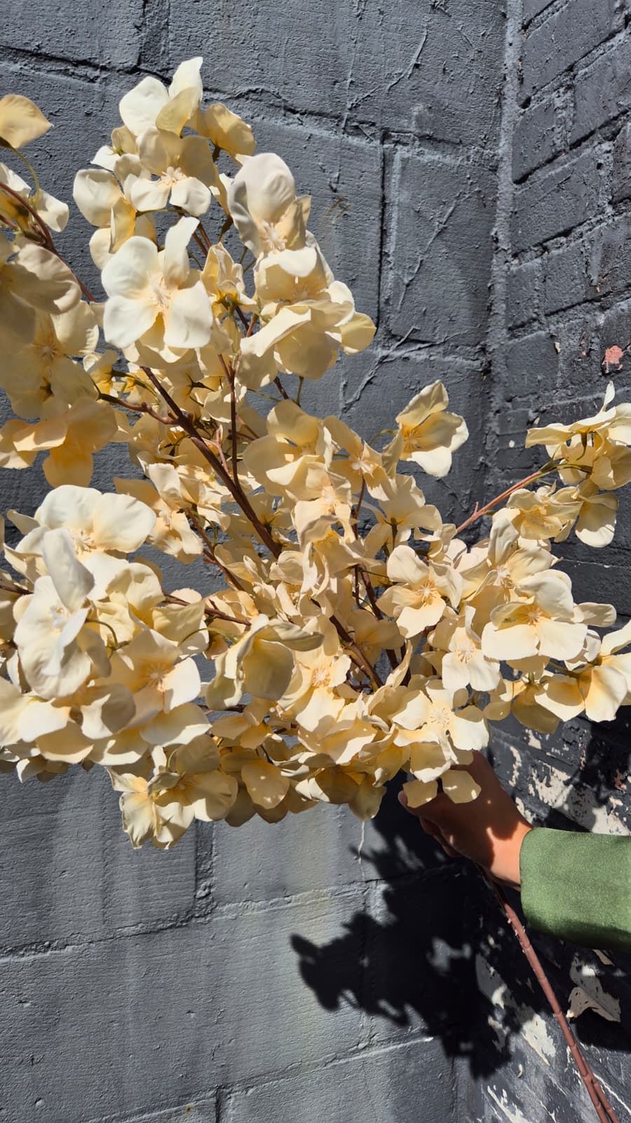 Herfstbloesem creme