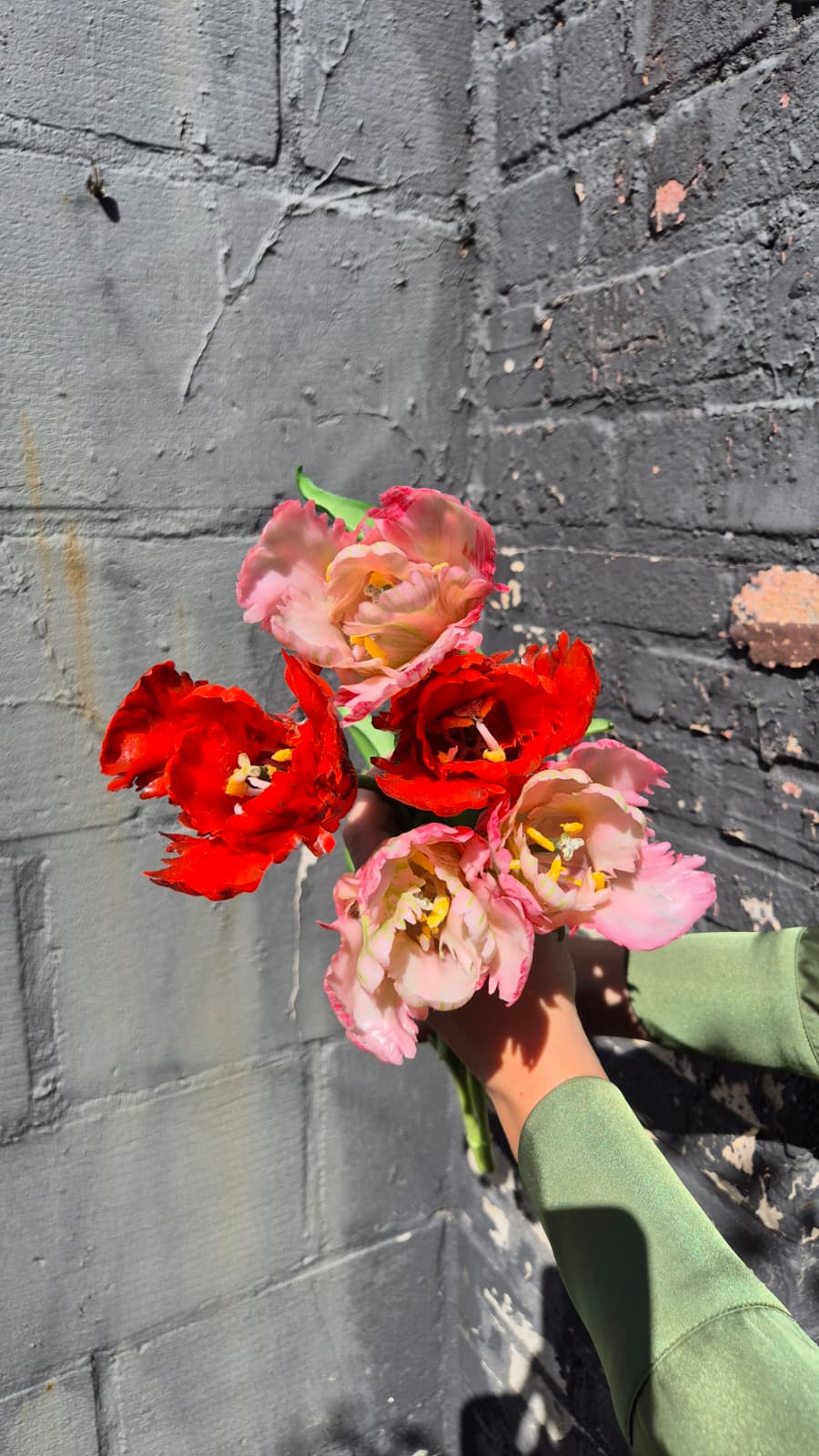 Papegaaien tulpen boeket groot