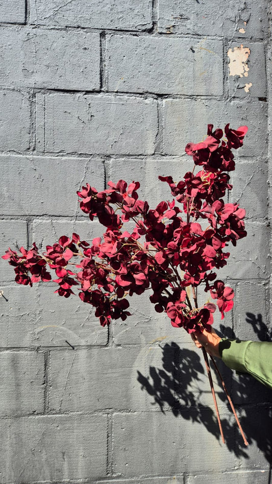 Herfstbloesem donker rood