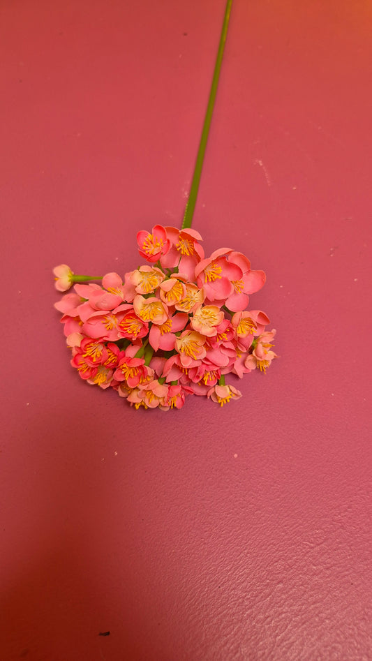 Uienbol roze
